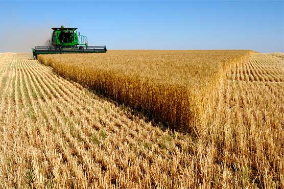 Agriculture entrepreneurship modules at village level help reverse rural-urban migration