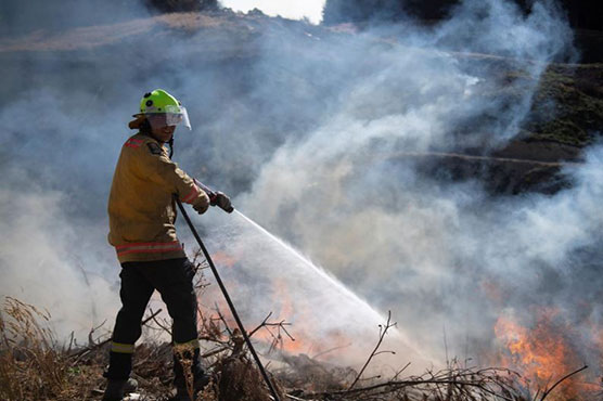 New Zealand wildfires show no sign of easing, 3,000 flee