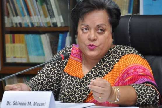 Shireen Mazari elected chairperson of parliamentary committee on appointment of ECP members