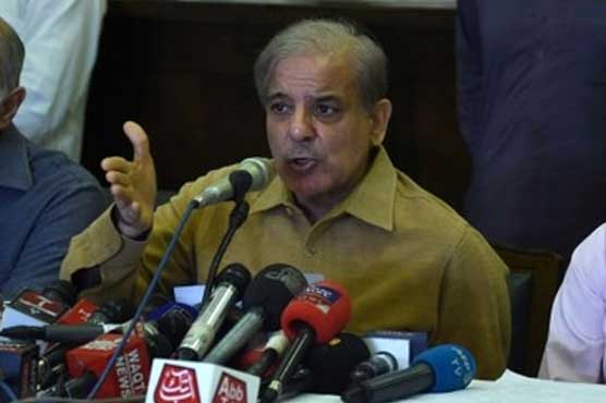 PML-N stands behind Rana Sanaullah at this crucial time: Shehbaz Sharif