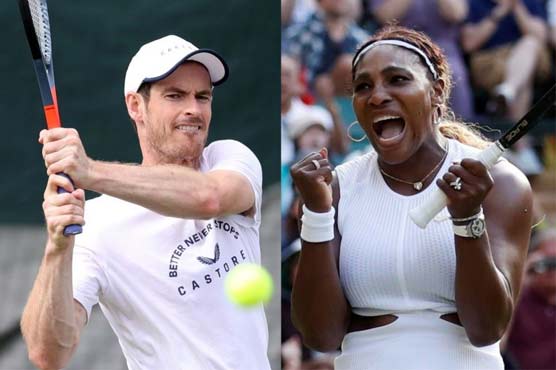 Murray and Williams learn first round Wimbledon opponents