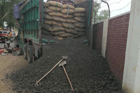 Peshawar: At least 190 sacks of betel nuts seized