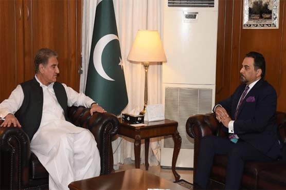 FM Qureshi reaffirms Pakistan's commitment for peace in Afghanistan