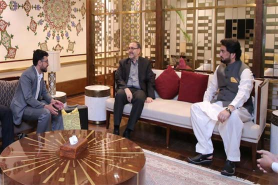 Iran's deputy interior minister in Pakistan to participate in Q4 talks on Afghan refugees repatriation