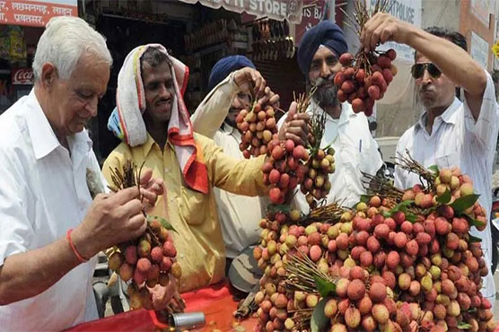 Brain disease kills more than 100 Indian children