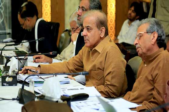 PML-N decides to counterblast govt's attitude