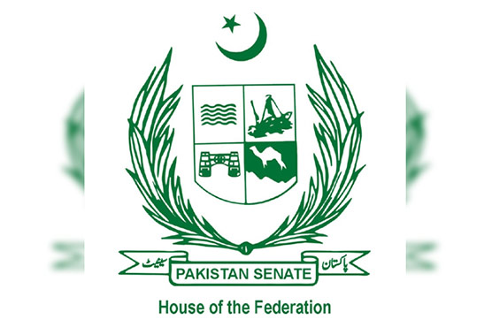 Senate unanimously approves 65 recommendations on Finance Bill 2019-20