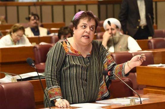 Shireen Mazari calls for probe against officials for failing to secure membership of FATF