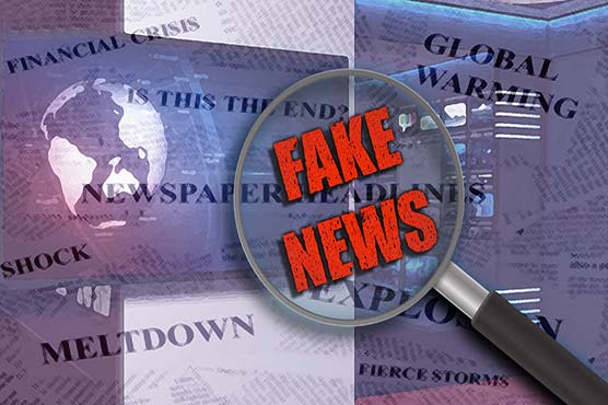 India has more fake news than anywhere else in the world: report 