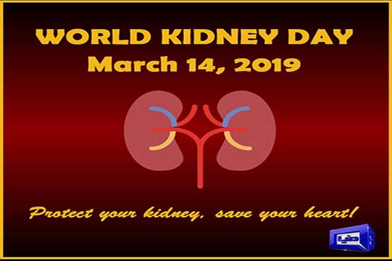 World Kidney Day being observed today