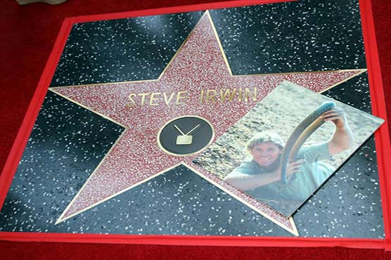 Australian town holds funeral for crocodile