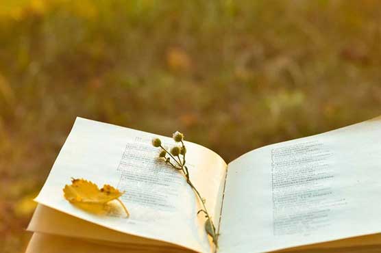 World Poetry Day – a celebration of the soul