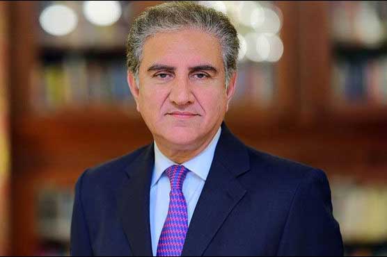 Government ready to brief whole parliament on NAP: FM Qureshi