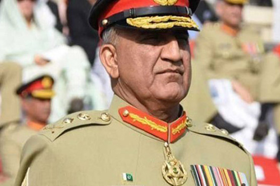 Image result for Few elements in PTM playing in foreign hands: Army Chief