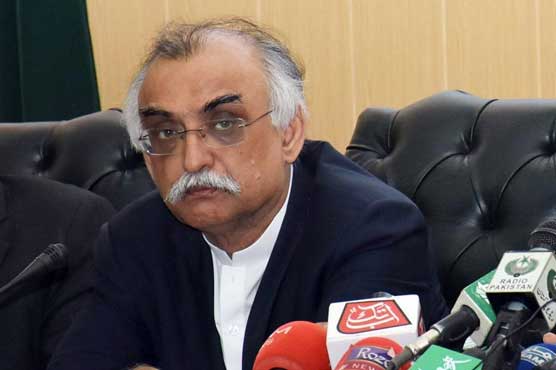 Capturing an individual tax evader is not the solution: Shabbar Zaidi