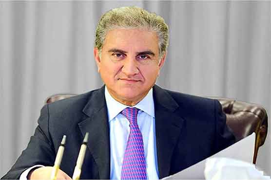 Govt directing economy towards stability, development: FM Qureshi