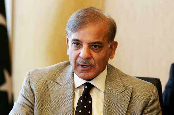 PML-N rejects Alice Wells' criticism on CPEC: Shehbaz Sharif