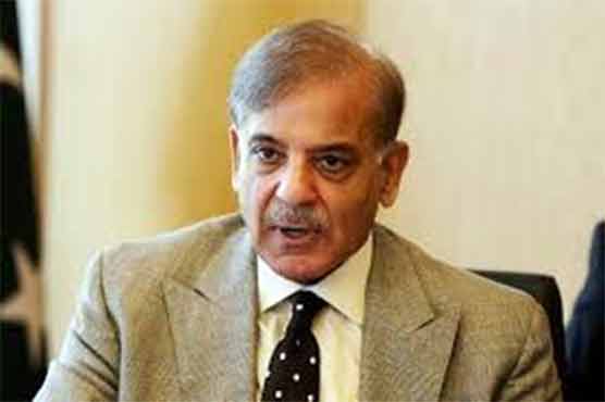  NAB pleas to cancel bail of Shehbaz Sharif set for hearing