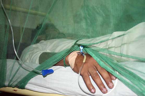 Dengue epidemic spreads fear across country