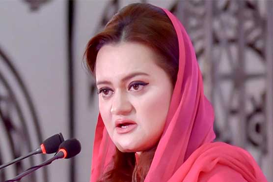 PML-N leader suggests PM to visit entire Punjab instead of only touring Lahore