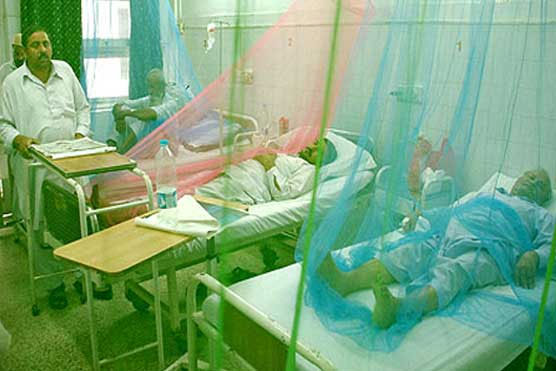 15 more affected by dengue virus in Karachi