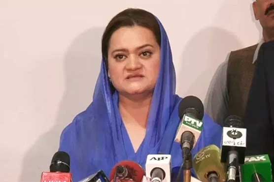 Marriyum Aurangzeb expresses concern over increased number of dengue patients in Punjab