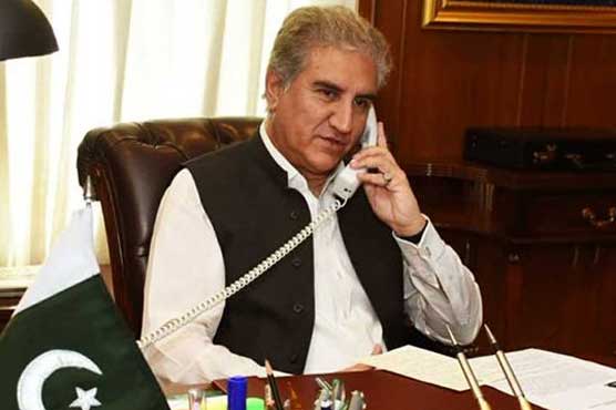 FM Qureshi apprises EU Human Rights envoy on Kashmir situation