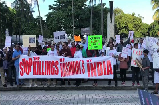 Hundreds rally in Florida to express solidarity with Kashmiris