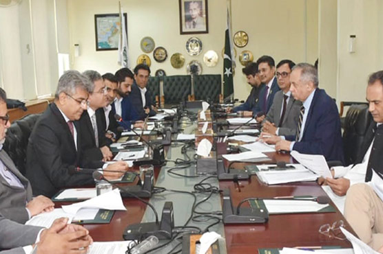 Govt to facilitate investors in SEZs: Dawood