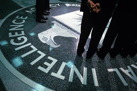 Cats, dolphins and one smart raven: the CIA's secret animal spies