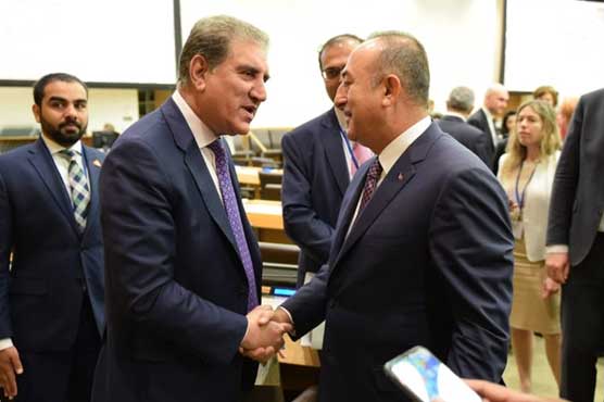 FM Qureshi discusses Kashmir issue with Turkish counterpart