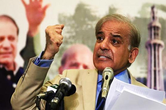 Image result for Government, Opposition united like rock on Kashmir issue: Shehbaz