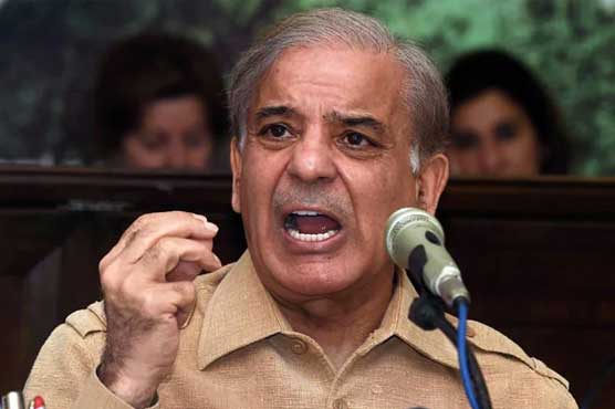 Shehbaz condemns Modi govt-sponsored hate campaign against Muslims in India