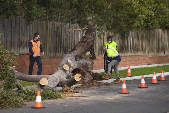 Three dead as storms lash Australia's southeast
