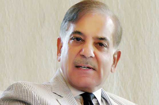 آرمی ایکٹ: ن لیگ کا کارکنوں کے تحفظات دور کرنیکا فیصلہ