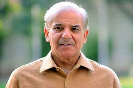 Shehbaz Sharif terms in-house change as constitutional, legal right