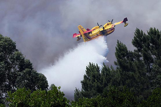 Firefighting plane 'may have crashed' while battling Australia blaze