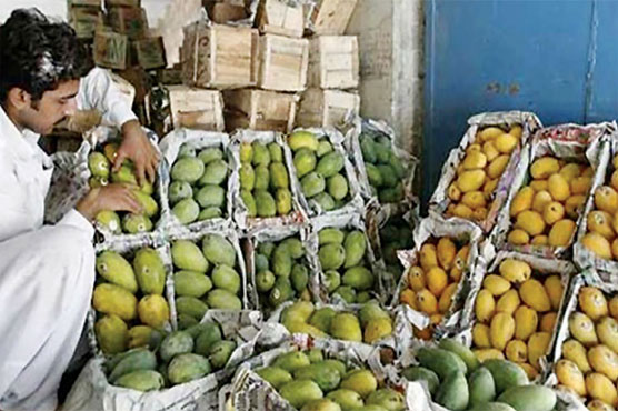 Export gloom sours Pakistan's prized mango season