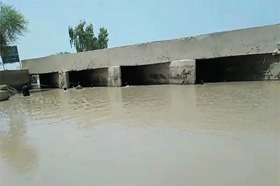 Two sisters among four minors drown in fishpond in Jacobabad