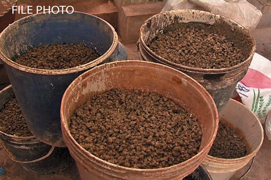 Sindh Rangers, Customs seize gutka worth Rs50 million