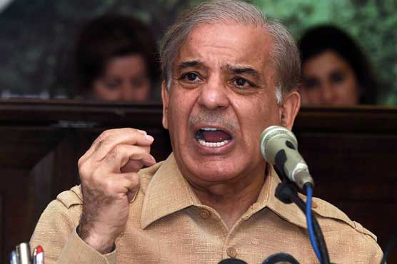 Govt is slaughtering Pakistan's economy: Shehbaz Sharif