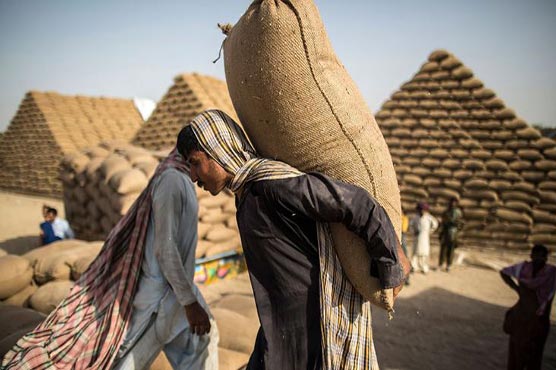 International Labour Day being observed to promote dignity of labourers