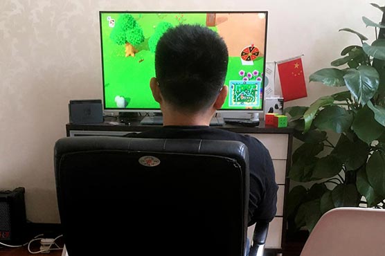 China's Animal Crossing gamers use code words, middlemen to enter virtual world