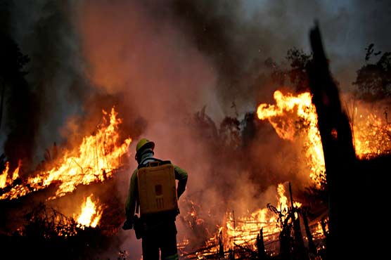 Record fires ravage Brazil's Amazon and Pantanal regions