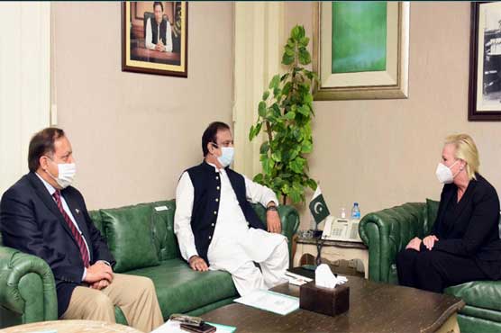 Pakistan to welcome investment by American companies: Shibli