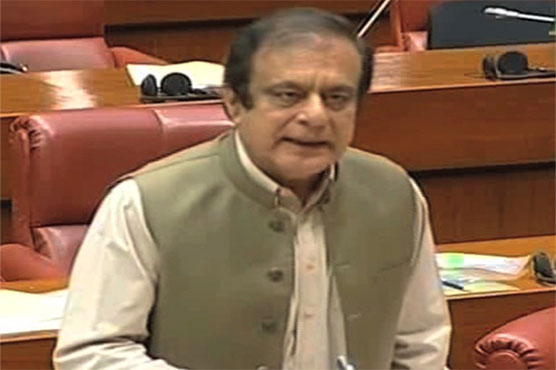 Opposition trying to divert attention from real issue of Quaid’s Mazar desecration: Shibli