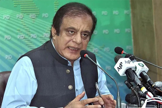 Sole agenda of PDM to skip accountability process: Shibli