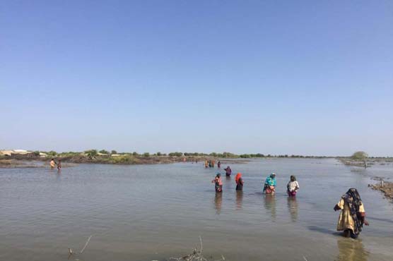 EU allocates Euro 1.15 mln assistance for Pakistan flood victims