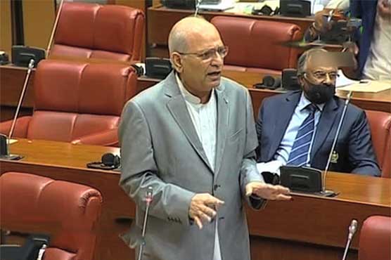 Mushahid Ullah, Ateeq Shaikh exchange harsh words in Senate session
