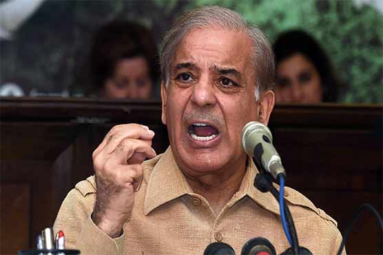 LHC to hear interim bail application of Shahbaz Sharif today